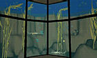 [kelp]