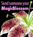 [magic]
