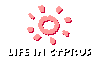 Life in Cyprus