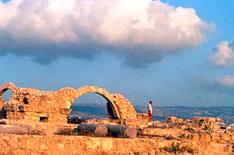 pafos sarantakolones