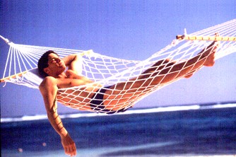 visitor_hammock