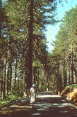 naturewalk250