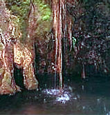 aphrodite baths